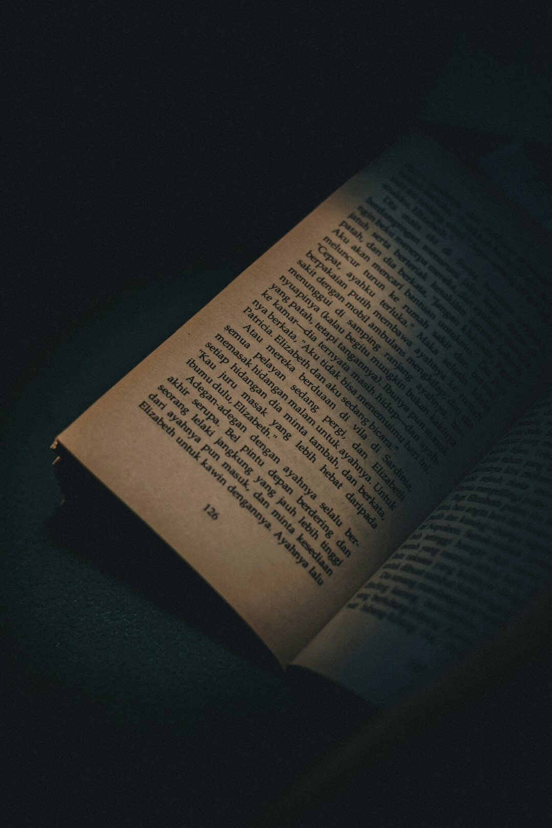 mystery book ending